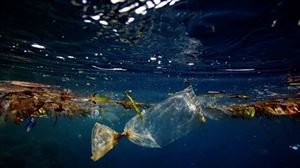 pic-News-_637018113608516513_HasThumb_Thumb